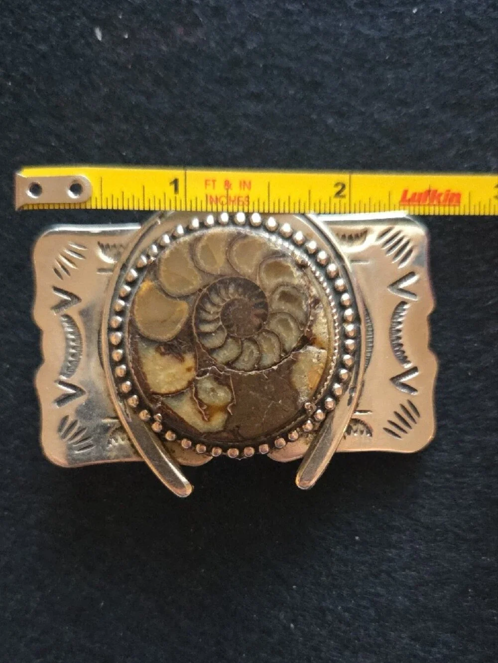 Silver-Tone Ammonite Fossil Belt Buckle in Brown